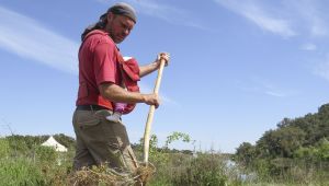 bioenergetic gardening